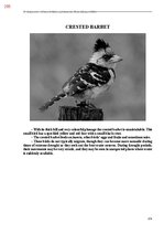 E-book 'Тайный остров', 613.