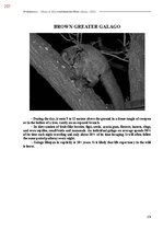 E-book 'Тайный остров', 615.