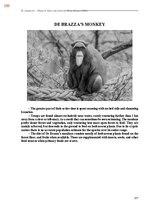 E-book 'Тайный остров', 616.