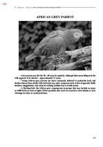 E-book 'Тайный остров', 618.