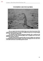 E-book 'Тайный остров', 621.