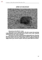 E-book 'Тайный остров', 623.