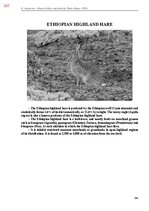 E-book 'Тайный остров', 625.