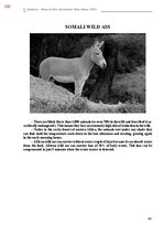 E-book 'Тайный остров', 626.