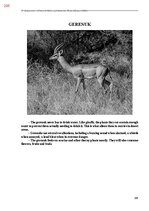 E-book 'Тайный остров', 627.