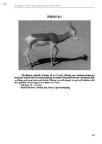 E-book 'Тайный остров', 628.