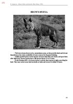 E-book 'Тайный остров', 630.