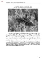 E-book 'Тайный остров', 632.