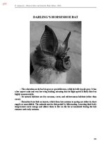E-book 'Тайный остров', 635.