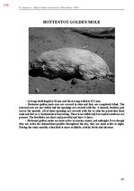 E-book 'Тайный остров', 636.