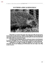 E-book 'Тайный остров', 638.