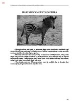 E-book 'Тайный остров', 640.