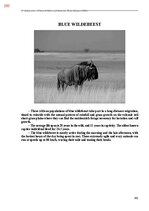 E-book 'Тайный остров', 641.