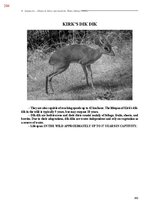 E-book 'Тайный остров', 642.