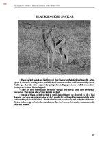 E-book 'Тайный остров', 646.