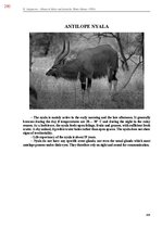 E-book 'Тайный остров', 648.