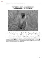 E-book 'Тайный остров', 650.