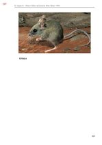E-book 'Тайный остров', 656.