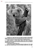 E-book 'Тайный остров', 657.