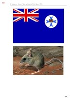 E-book 'Тайный остров', 663.