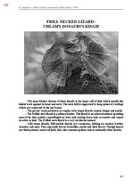 E-book 'Тайный остров', 664.