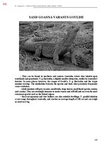 E-book 'Тайный остров', 665.