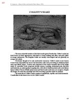 E-book 'Тайный остров', 666.