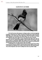 E-book 'Тайный остров', 671.