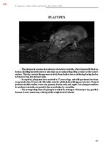 E-book 'Тайный остров', 679.