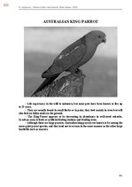 E-book 'Тайный остров', 682.