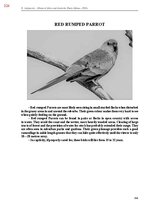 E-book 'Тайный остров', 683.