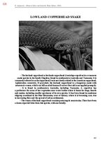 E-book 'Тайный остров', 684.
