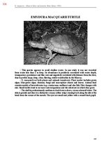 E-book 'Тайный остров', 685.