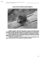 E-book 'Тайный остров', 688.