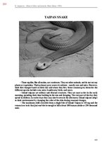 E-book 'Тайный остров', 690.
