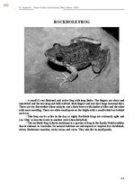 E-book 'Тайный остров', 691.