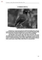 E-book 'Тайный остров', 698.