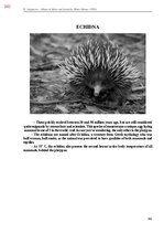 E-book 'Тайный остров', 701.