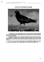 E-book 'Тайный остров', 702.