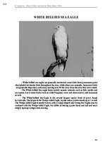 E-book 'Тайный остров', 703.