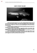 E-book 'Тайный остров', 704.