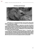 E-book 'Тайный остров', 708.
