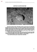E-book 'Тайный остров', 709.