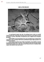 E-book 'Тайный остров', 710.