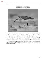E-book 'Тайный остров', 714.