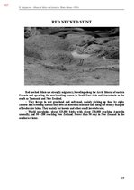E-book 'Тайный остров', 716.