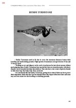 E-book 'Тайный остров', 717.