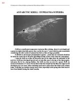 E-book 'Тайный остров', 720.