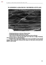 E-book 'Тайный остров', 723.