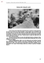E-book 'Тайный остров', 726.